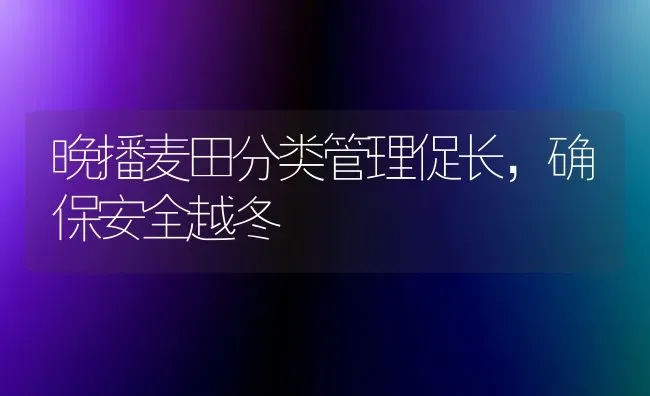 晚播麦田分类管理促长,确保安全越冬 | 养殖技术大全