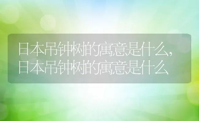 日本吊钟树的寓意是什么,日本吊钟树的寓意是什么 | 养殖科普