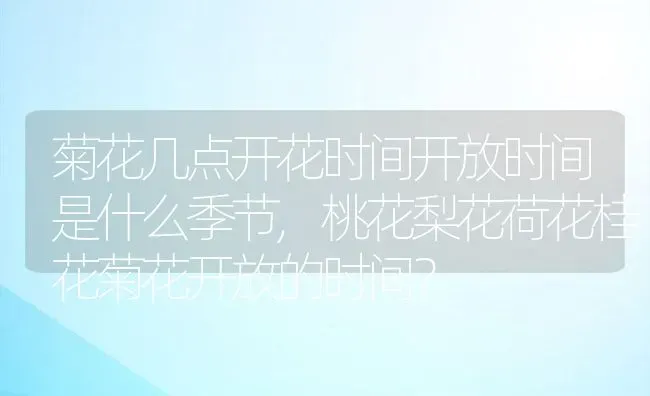 菊花几点开花时间开放时间是什么季节,桃花梨花荷花桂花菊花开放的时间？ | 养殖科普