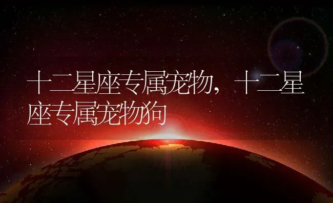 十二星座专属宠物,十二星座专属宠物狗 | 养殖科普