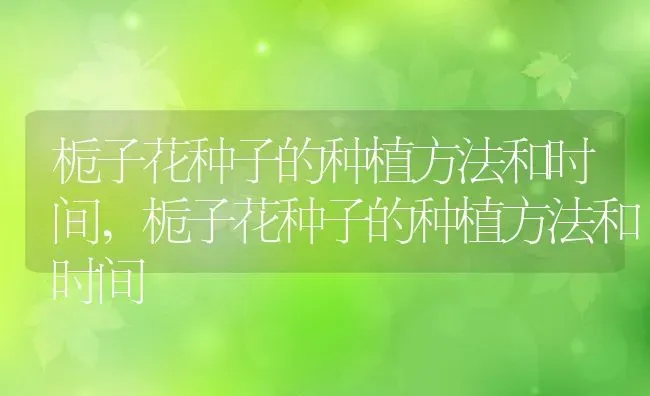 栀子花种子的种植方法和时间,栀子花种子的种植方法和时间 | 养殖科普