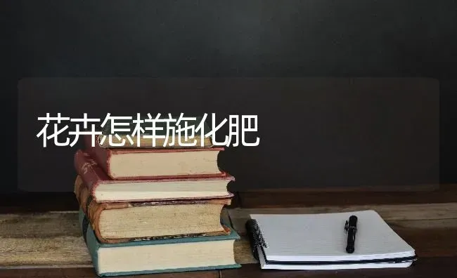 花卉怎样施化肥 | 养殖技术大全