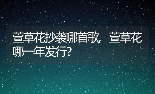 萱草花抄袭哪首歌,萱草花哪一年发行？ | 养殖学堂