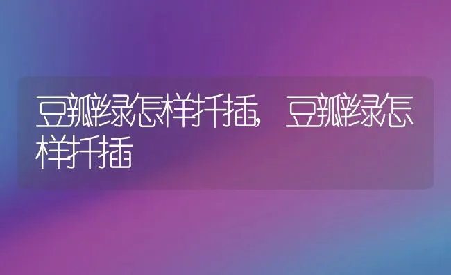 红色杜鹃花的寓意和象征,红杜鹃花的特点？ | 养殖科普