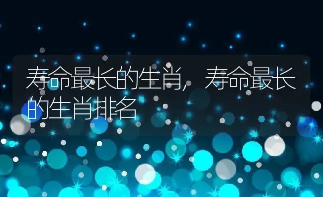 寿命最长的生肖,寿命最长的生肖排名 | 养殖科普