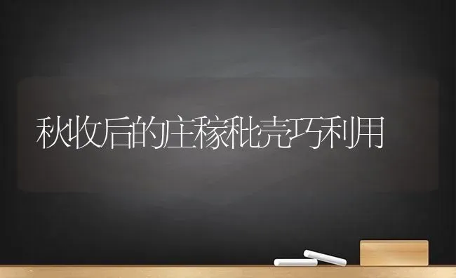 秋收后的庄稼秕壳巧利用 | 养殖技术大全