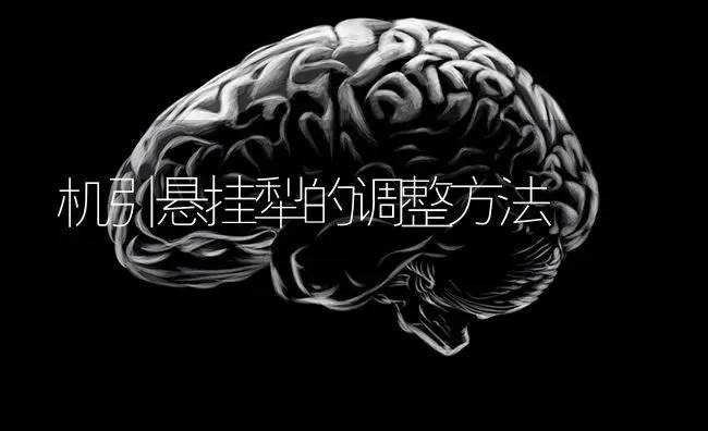 机引悬挂犁的调整方法 | 养殖技术大全