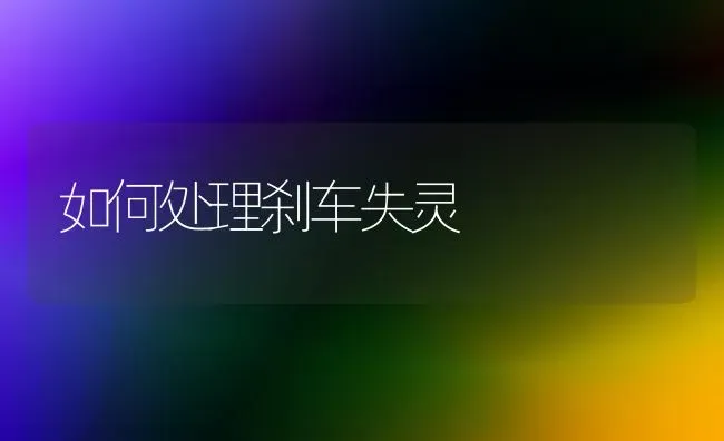 如何处理刹车失灵 | 养殖技术大全