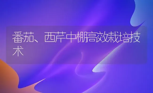 番茄、西芹中棚高效栽培技术 | 养殖技术大全