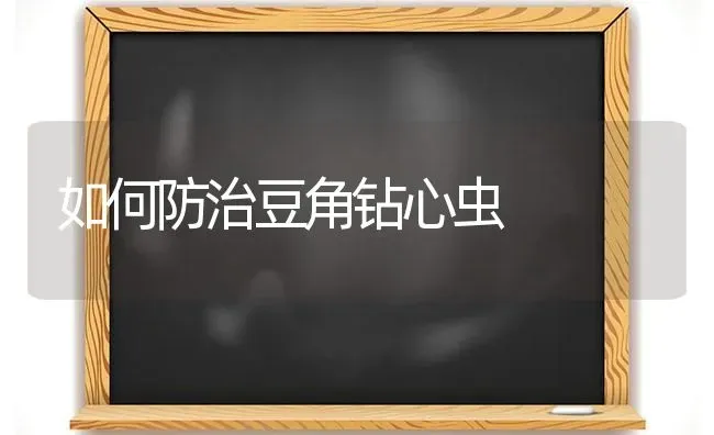 如何防治豆角钻心虫 | 养殖知识