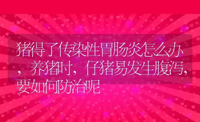 猪得了传染性胃肠炎怎么办,养猪时，仔猪易发生腹泻，要如何防治呢 | 养殖学堂