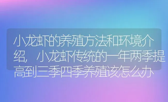 小龙虾的养殖方法和环境介绍,小龙虾传统的一年两季提高到三季四季养殖该怎么办 | 养殖学堂