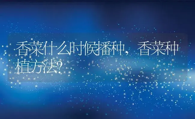 香菜什么时候播种,香菜种植方法？ | 养殖科普