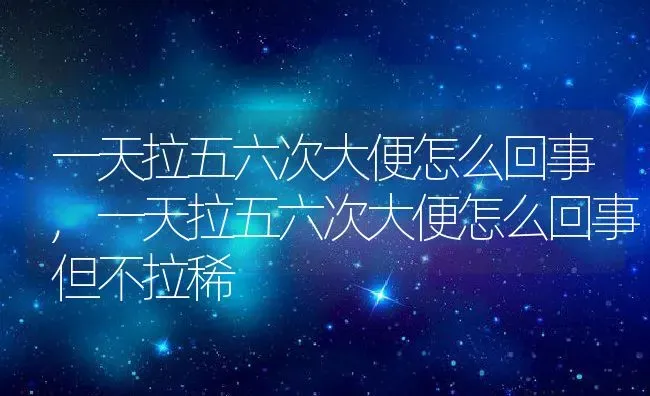 一天拉五六次大便怎么回事,一天拉五六次大便怎么回事但不拉稀 | 养殖科普