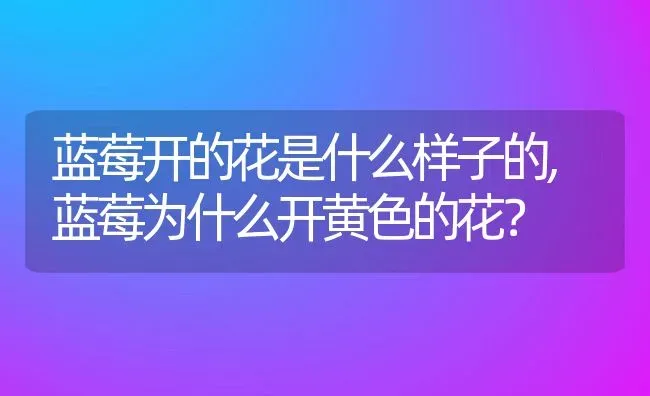 蓝莓开的花是什么样子的,蓝莓为什么开黄色的花？ | 养殖科普