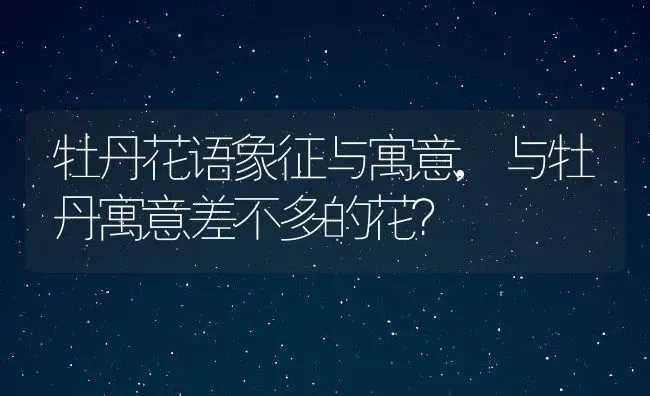 牡丹花语象征与寓意,与牡丹寓意差不多的花？ | 养殖科普