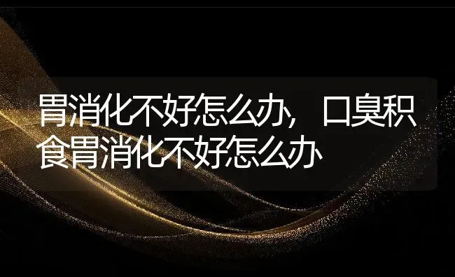 胃消化不好怎么办,口臭积食胃消化不好怎么办 | 养殖科普