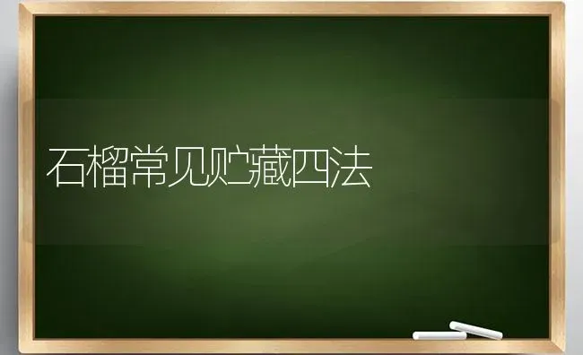 石榴常见贮藏四法 | 养殖技术大全