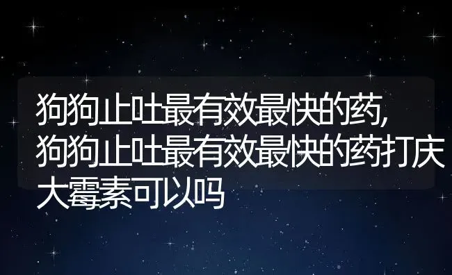 狗狗止吐最有效最快的药,狗狗止吐最有效最快的药打庆大霉素可以吗 | 养殖学堂