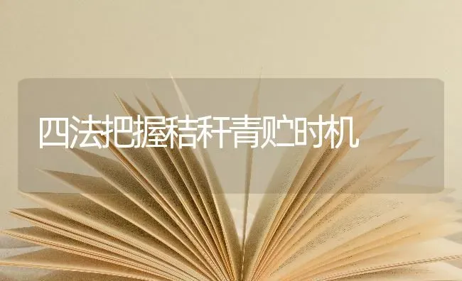 四法把握秸秆青贮时机 | 养殖知识