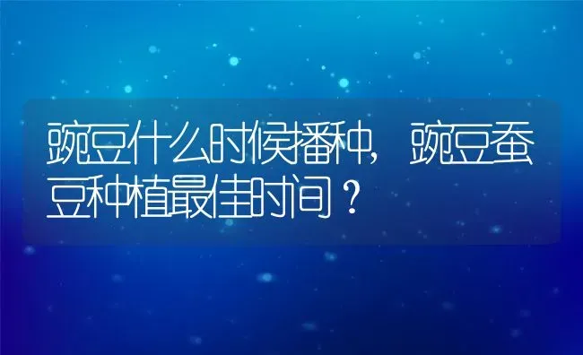 豌豆什么时候播种,豌豆蚕豆种植最佳时间？ | 养殖科普