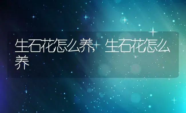 老是打喷嚏怎么回事,没感冒老是打喷嚏怎么回事 | 养殖资料