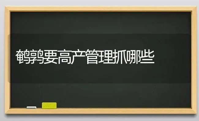 鹌鹑要高产管理抓哪些 | 养殖技术大全