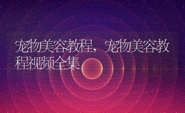 宠物美容教程,宠物美容教程视频全集 | 养殖资料