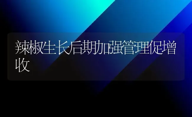 辣椒生长后期加强管理促增收 | 养殖知识