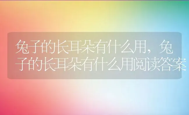 兔子的长耳朵有什么用,兔子的长耳朵有什么用阅读答案 | 养殖资料