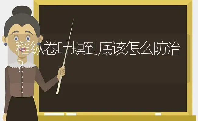 稻纵卷叶螟到底该怎么防治? | 养殖技术大全