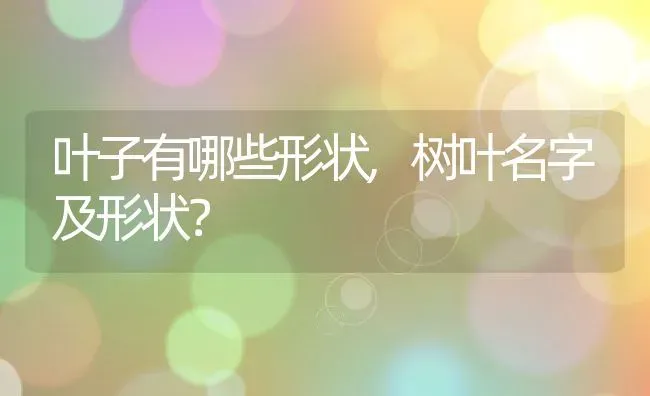 叶子有哪些形状,树叶名字及形状？ | 养殖科普