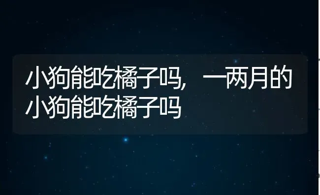 小狗能吃橘子吗,一两月的小狗能吃橘子吗 | 养殖科普