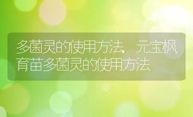 多菌灵的使用方法,元宝枫育苗多菌灵的使用方法 | 养殖学堂