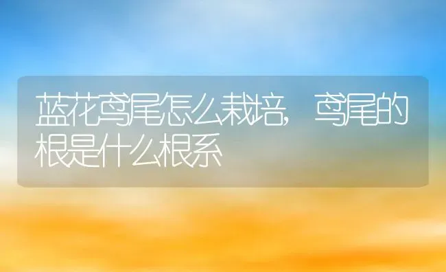 蓝花鸢尾怎么栽培,鸢尾的根是什么根系 | 养殖学堂