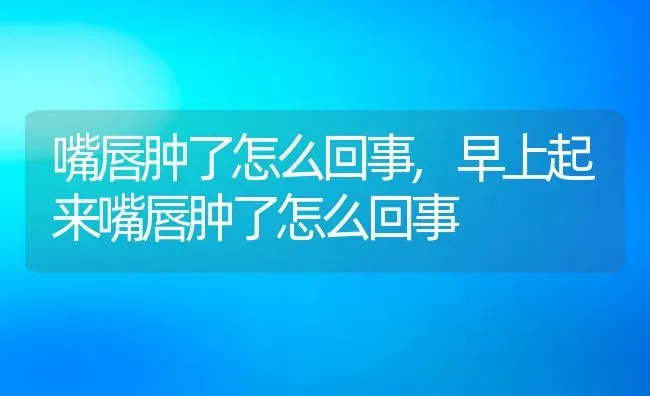 嘴唇肿了怎么回事,早上起来嘴唇肿了怎么回事 | 养殖资料