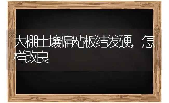 大棚土壤偏粘板结发硬,怎样改良 | 养殖技术大全