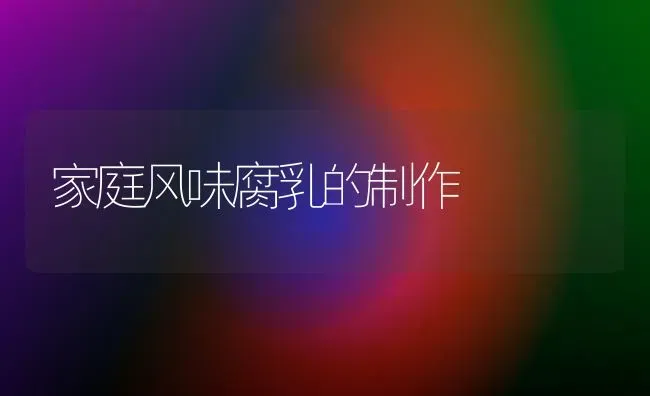 家庭风味腐乳的制作 | 养殖技术大全