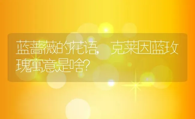 蓝蔷薇的花语,克莱因蓝玫瑰寓意是啥？ | 养殖科普