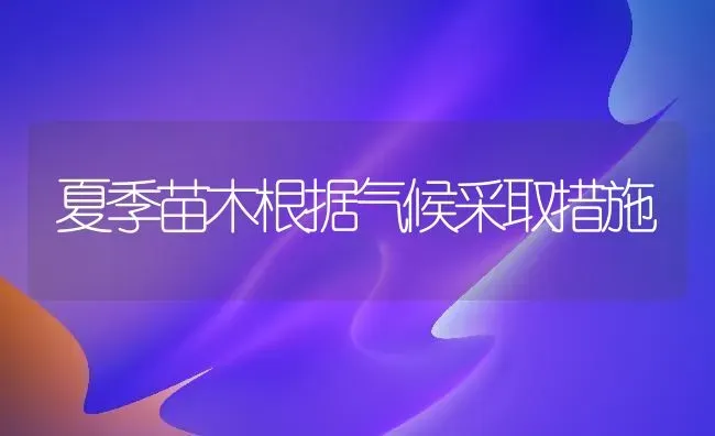 夏季苗木根据气候采取措施 | 养殖知识