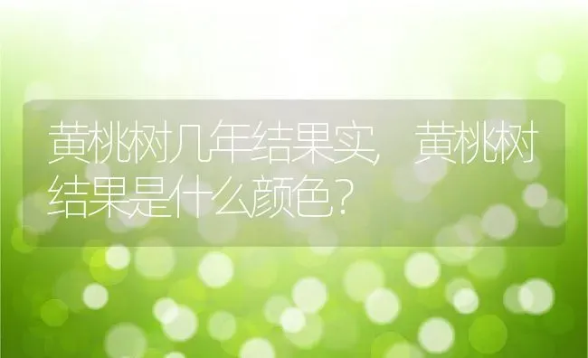 黄桃树几年结果实,黄桃树结果是什么颜色？ | 养殖科普