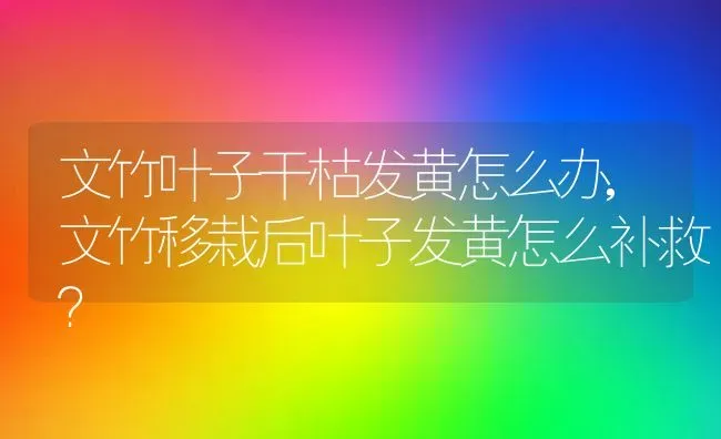文竹叶子干枯发黄怎么办,文竹移栽后叶子发黄怎么补救？ | 养殖科普