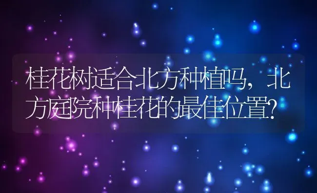桂花树适合北方种植吗,北方庭院种桂花的最佳位置？ | 养殖科普