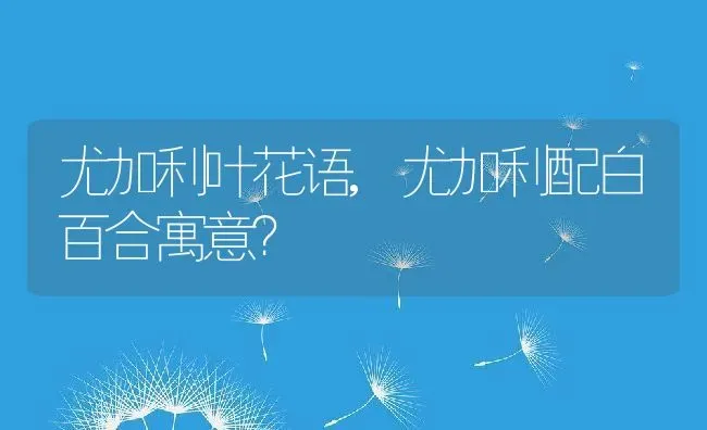 尤加利叶花语,尤加利配白百合寓意？ | 养殖科普