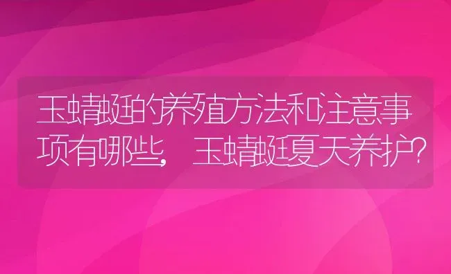 玉蜻蜓的养殖方法和注意事项有哪些,玉蜻蜓夏天养护？ | 养殖科普