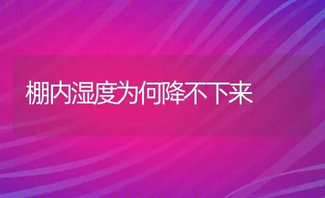 棚内湿度为何降不下来 | 养殖知识