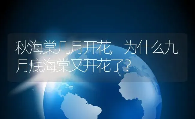 秋海棠几月开花,为什么九月底海棠又开花了？ | 养殖科普