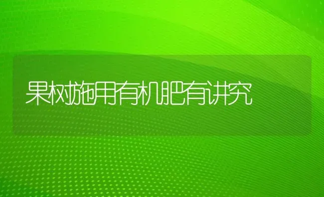 怎样选购中国荷斯坦奶牛 | 养殖技术大全