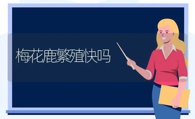 梅花鹿繁殖快吗 | 养殖技术大全