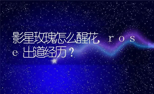 影星玫瑰怎么醒花,rose出道经历？ | 养殖科普